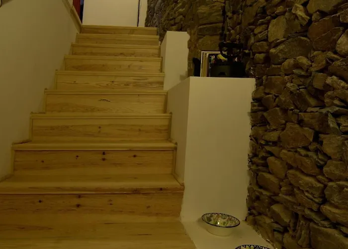 Palheiro Do Castelo - Patio Sabugal